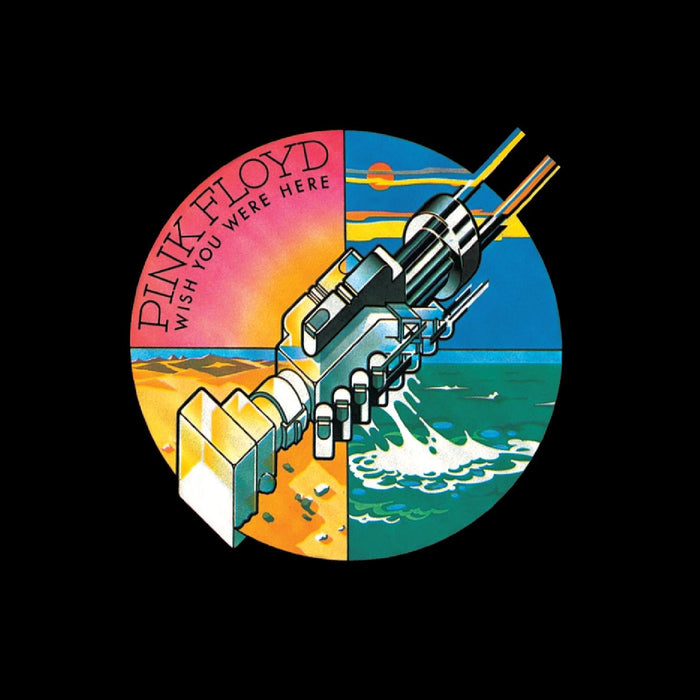 LP Pink Floyd Wish You Were Here - Technology Cafe